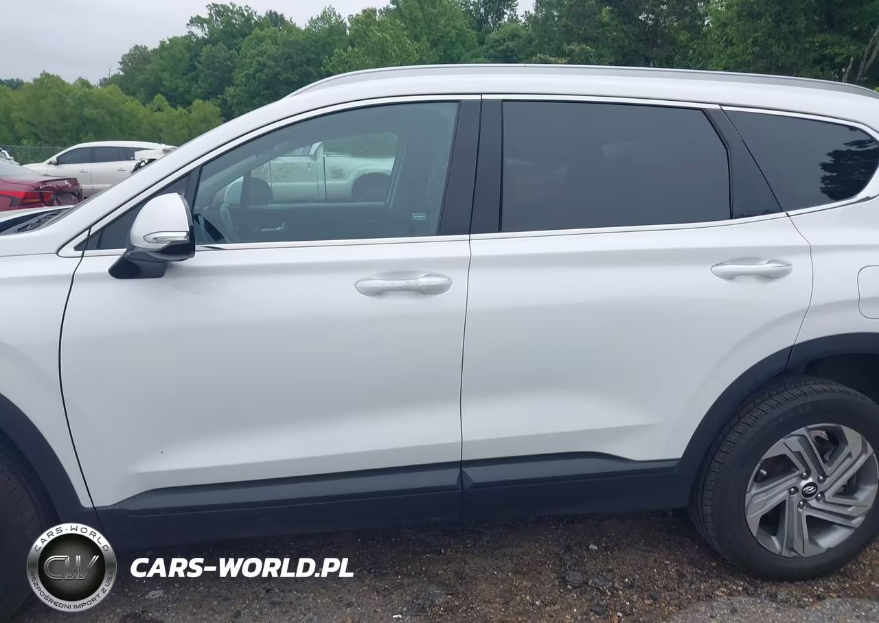 2023 Hyundai Santa Fe Sel VIN:5NMS2DAJ7PH551201 - 15