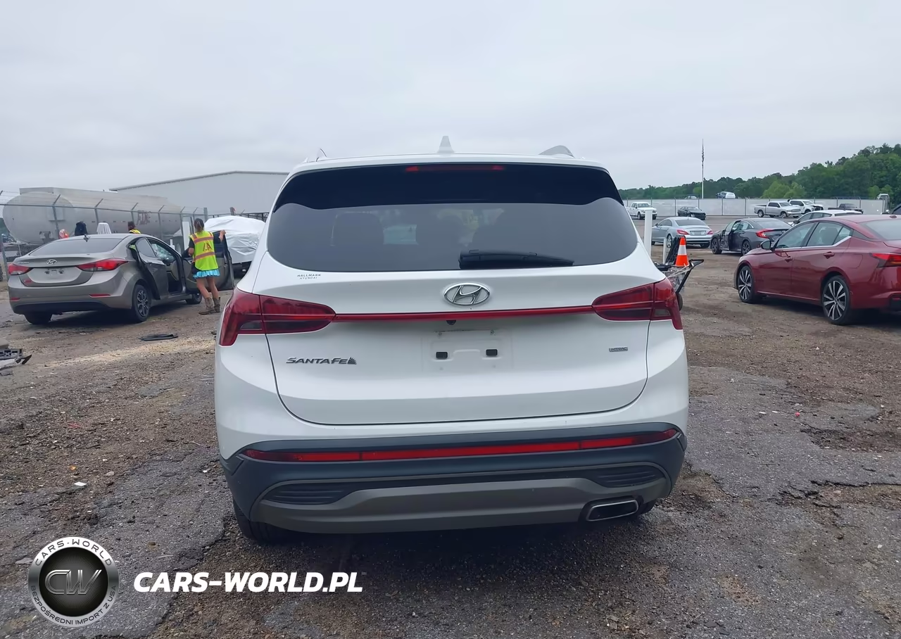 2023 Hyundai Santa Fe Sel VIN:5NMS2DAJ7PH551201 - 17