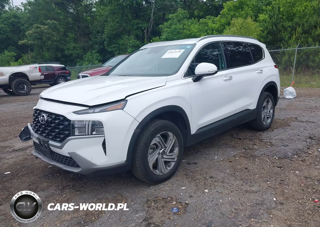 2023 Hyundai Santa Fe Sel VIN:5NMS2DAJ7PH551201 - 2