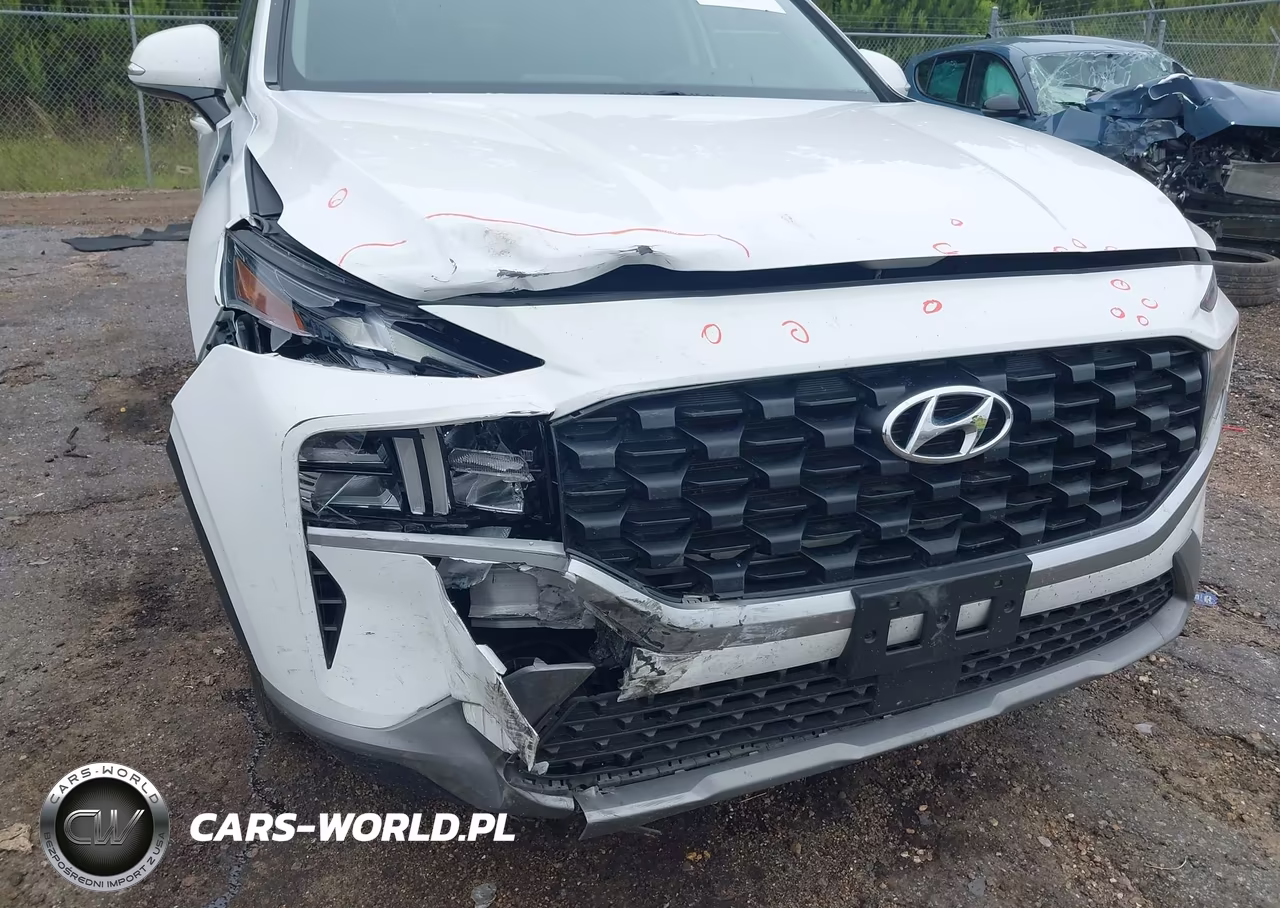 2023 Hyundai Santa Fe Sel VIN:5NMS2DAJ7PH551201 - 6