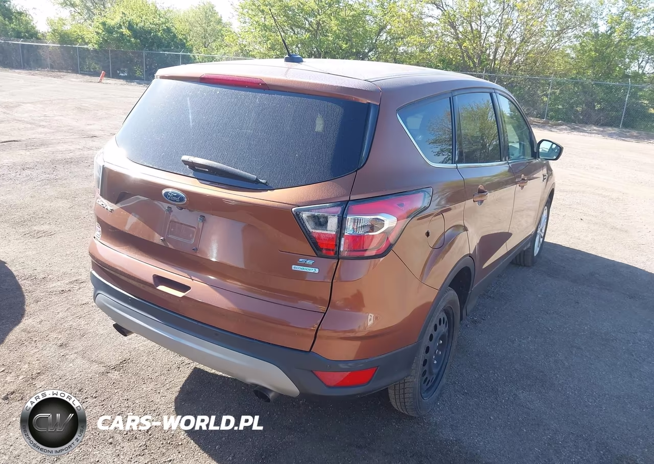 2017 Ford Escape Se VIN:1FMCU0GD4HUA68828 - 4
