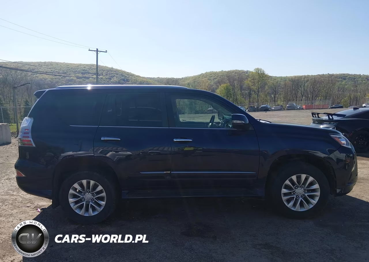 2017 Lexus Gx 460 VIN:JTJBM7FX4H5172652 - 13