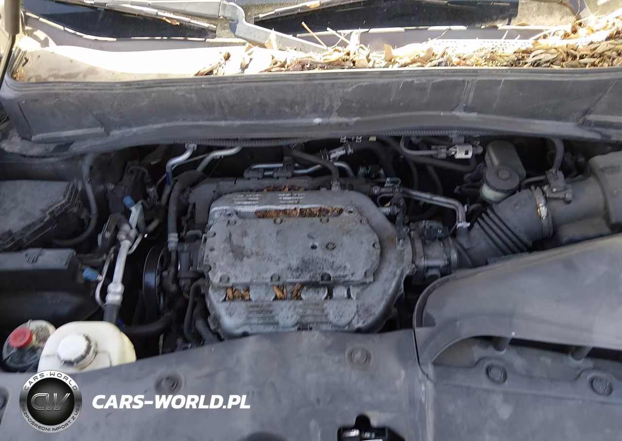 2009 Honda Pilot Ex-L VIN:5FNYF386X9B027118 - 10