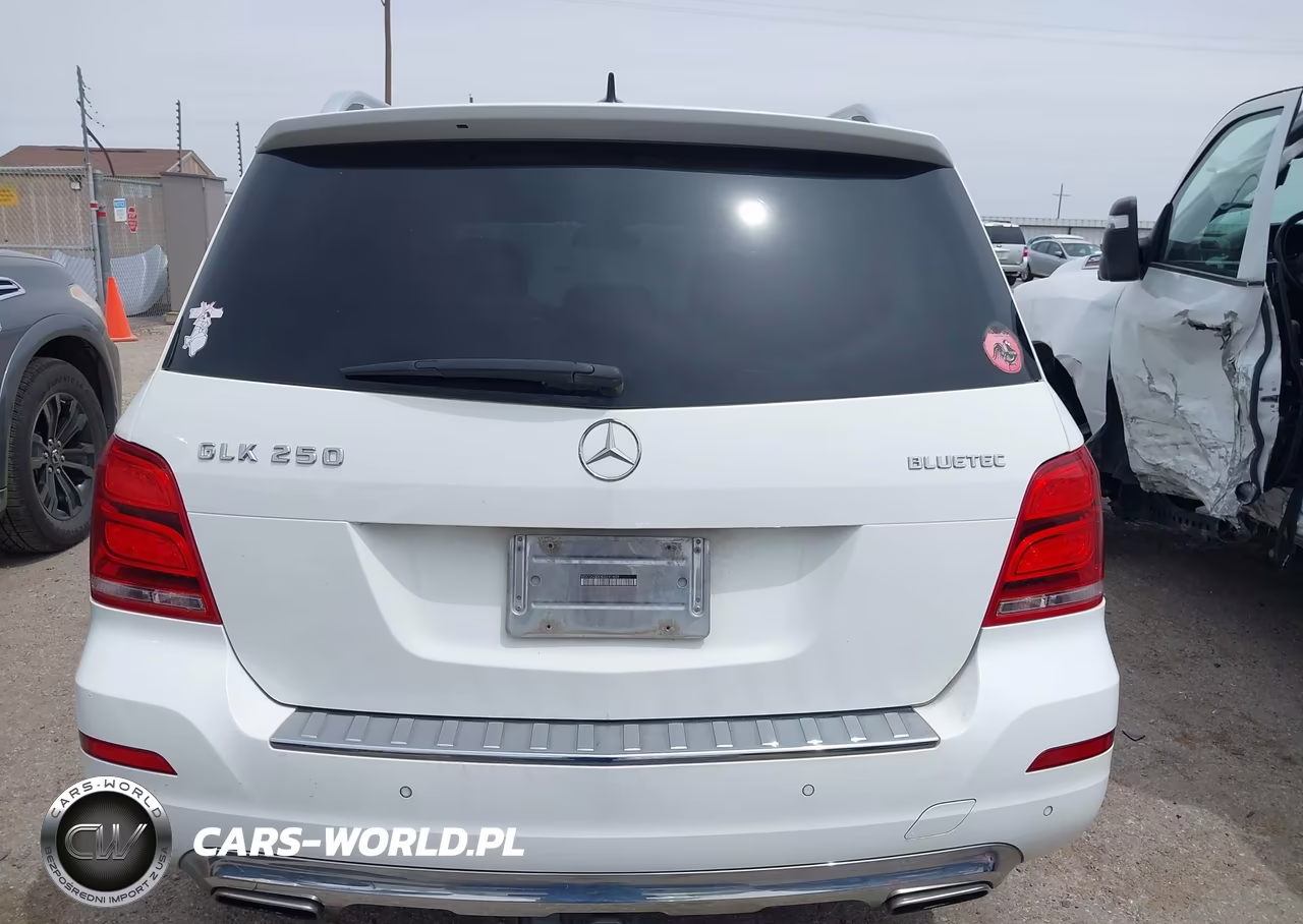 2014 Mercedes-Benz Glk 250 Bluetec 4Matic VIN:WDCGG0EB3EG191409 - 17