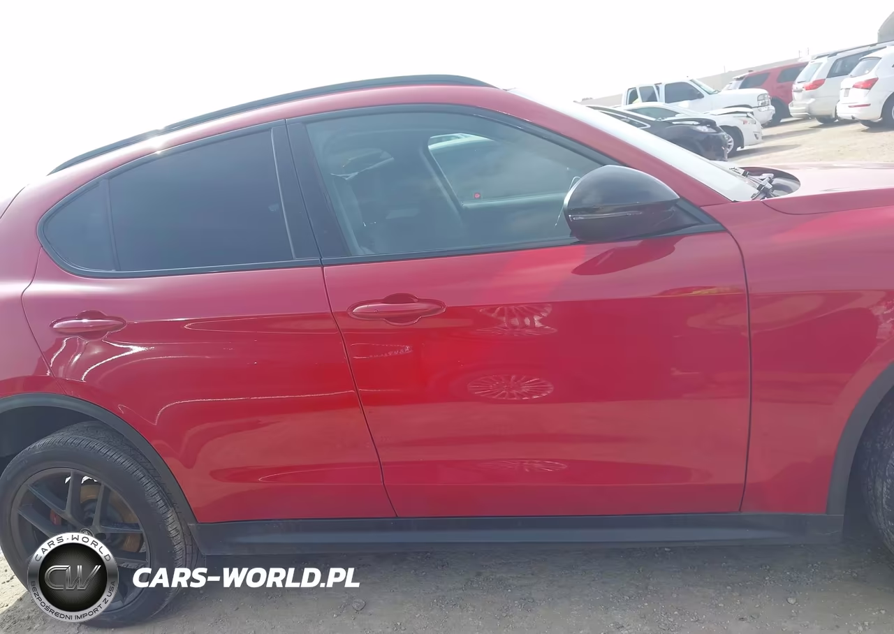 2020 Alfa Romeo Stelvio Rwd VIN:ZASPAJAN1L7C91252 - 14