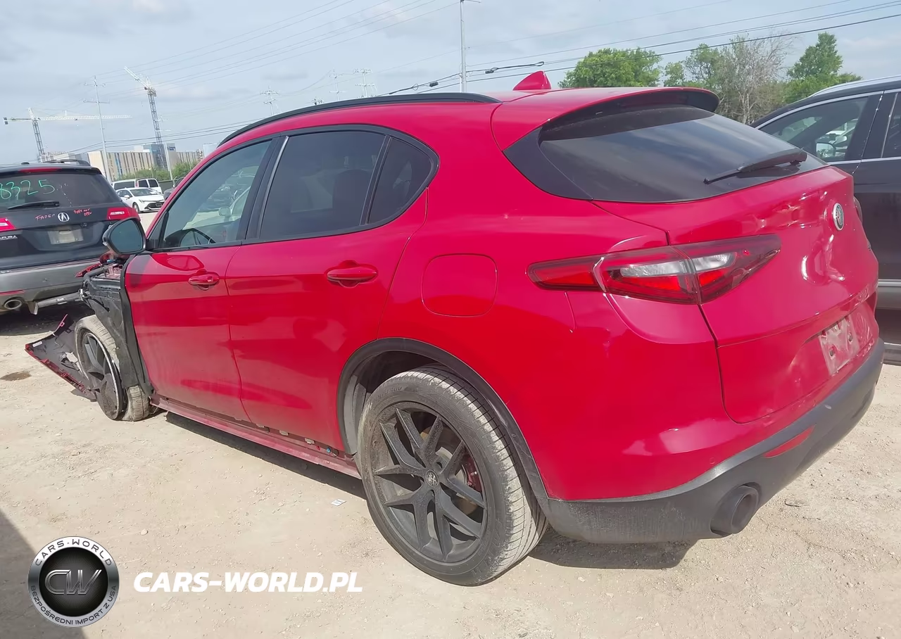 2020 Alfa Romeo Stelvio Rwd VIN:ZASPAJAN1L7C91252 - 3