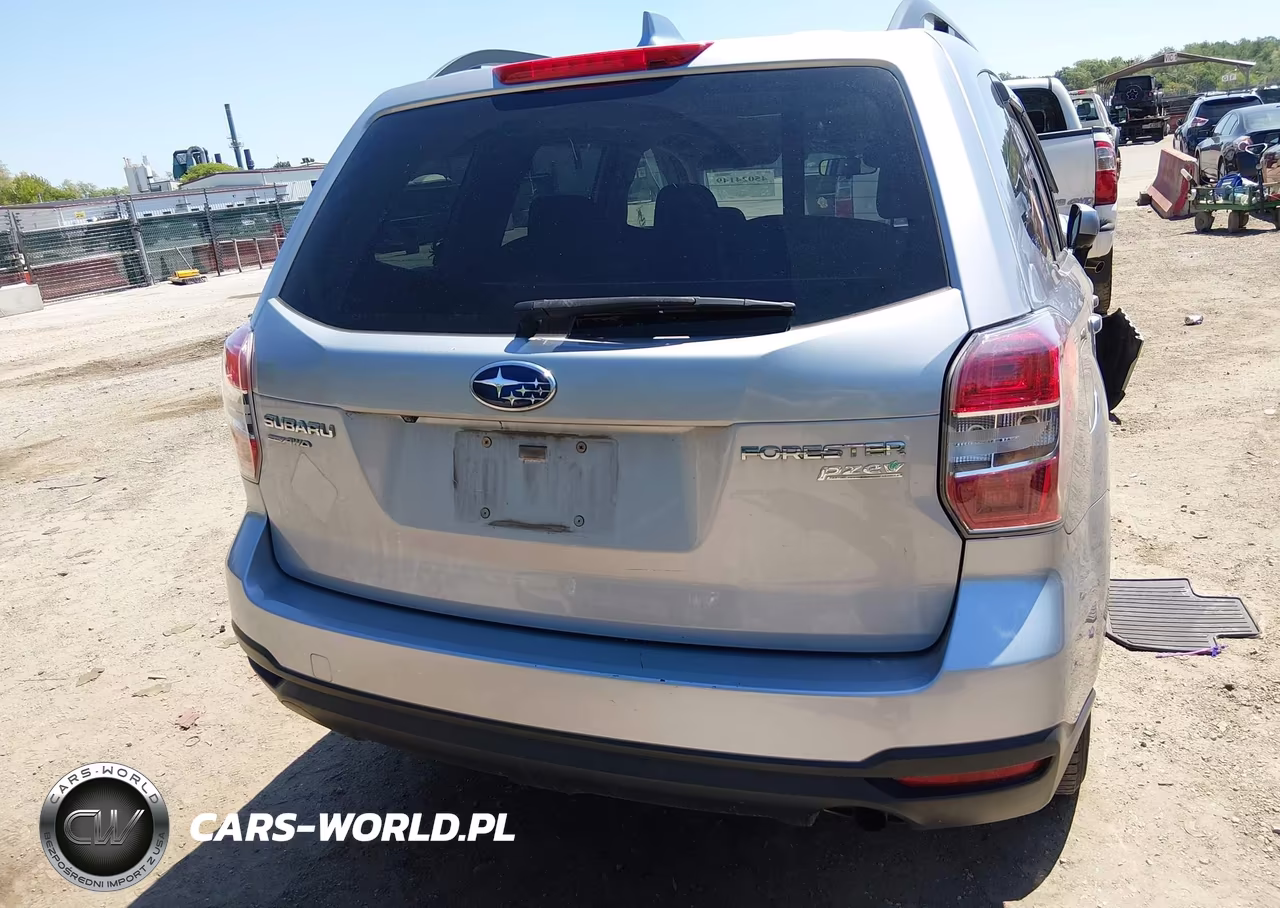 2016 Subaru Forester 2.5I Premium VIN:JF2SJAGC7GH491840 - 17