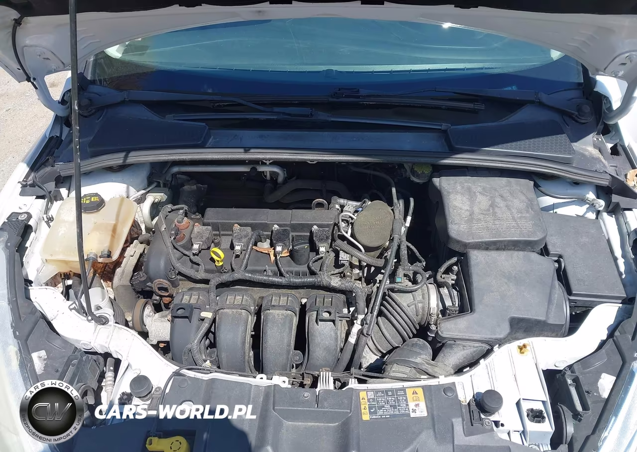 2015 Ford Focus Se VIN:1FADP3F25FL258728 - 10