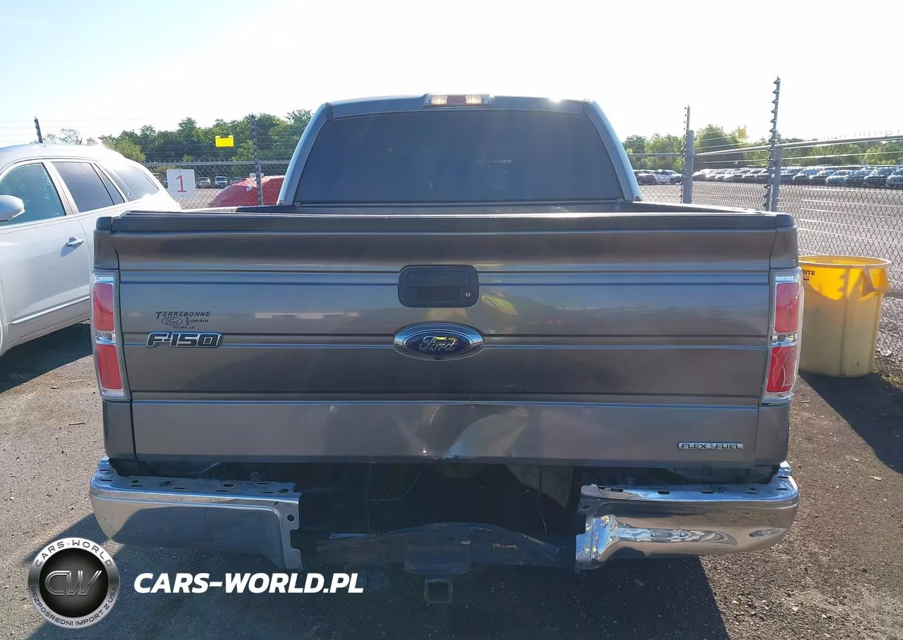 2011 Ford F-150 Xl-Xlt VIN:1FTEW1CM3BFB75450 - 16