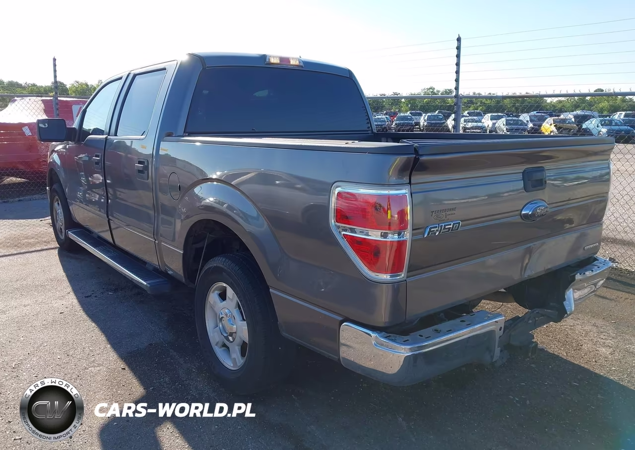 2011 Ford F-150 Xl-Xlt VIN:1FTEW1CM3BFB75450 - 3