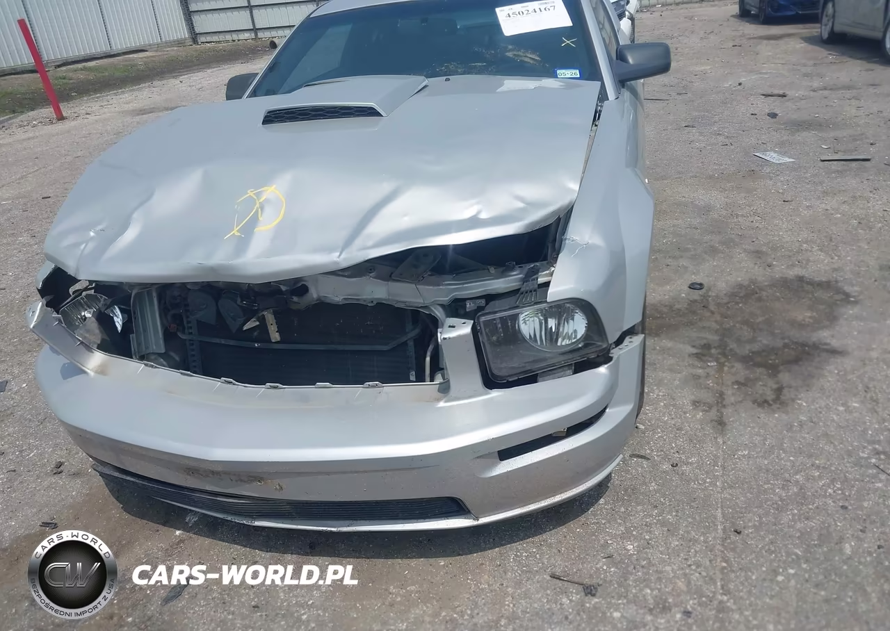 2009 Ford Mustang Gt-Gt Premium VIN:1ZVHT82H195102349 - 12