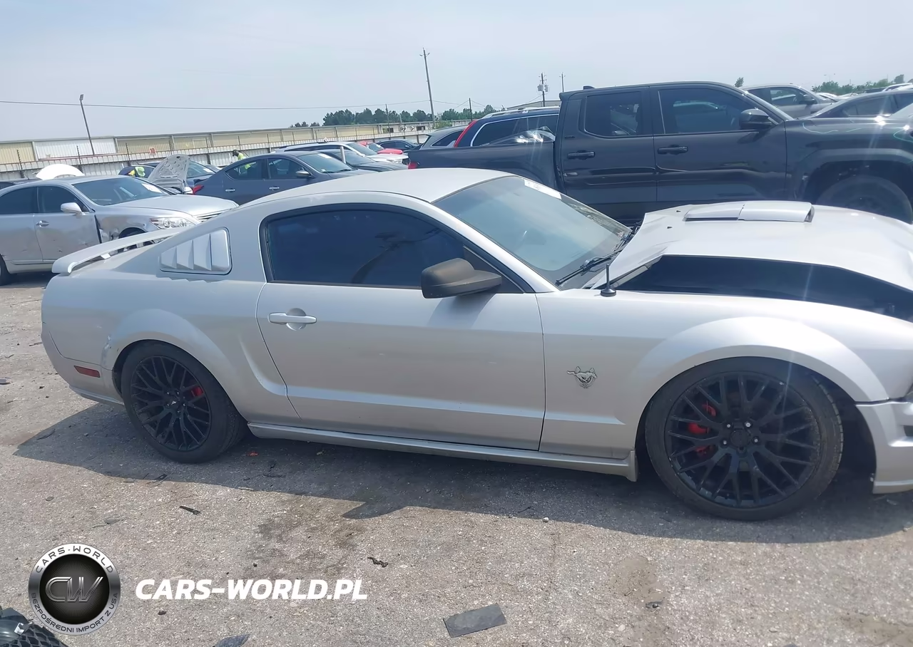 2009 Ford Mustang Gt-Gt Premium VIN:1ZVHT82H195102349 - 13