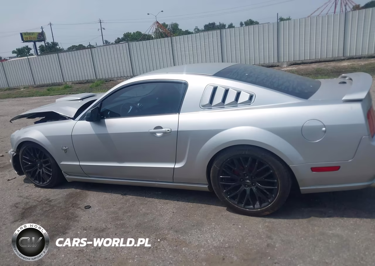 2009 Ford Mustang Gt-Gt Premium VIN:1ZVHT82H195102349 - 14