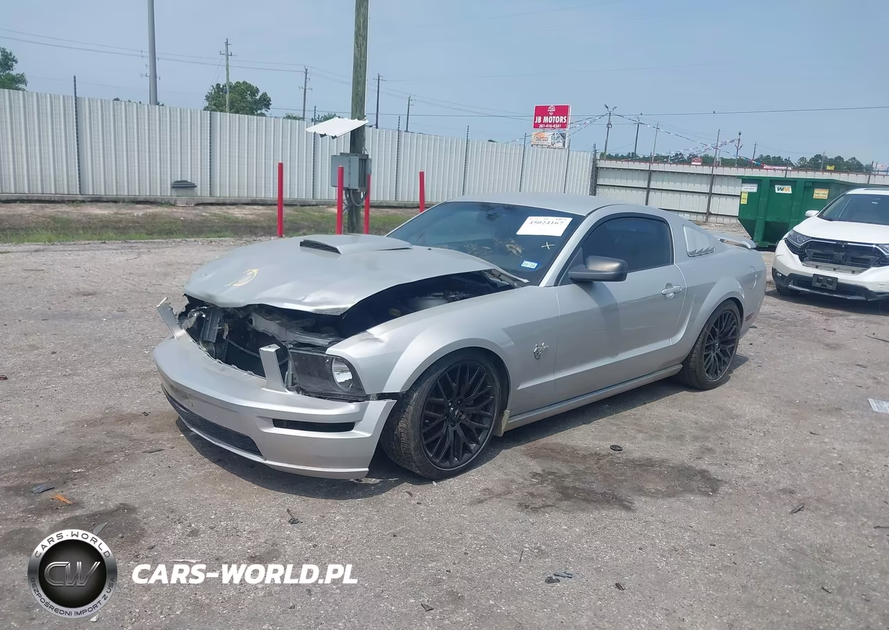 2009 Ford Mustang Gt-Gt Premium VIN:1ZVHT82H195102349 - 2