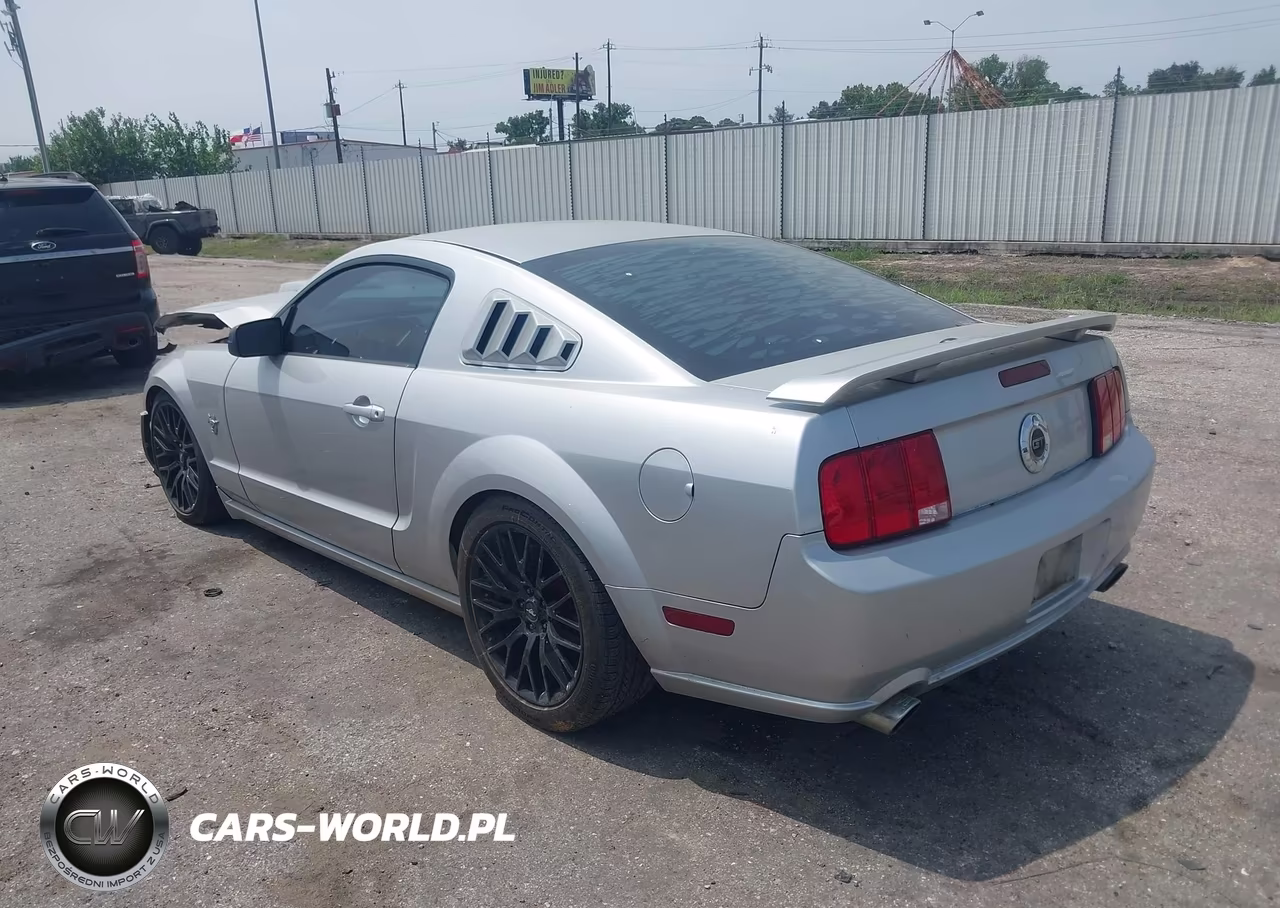 2009 Ford Mustang Gt-Gt Premium VIN:1ZVHT82H195102349 - 3