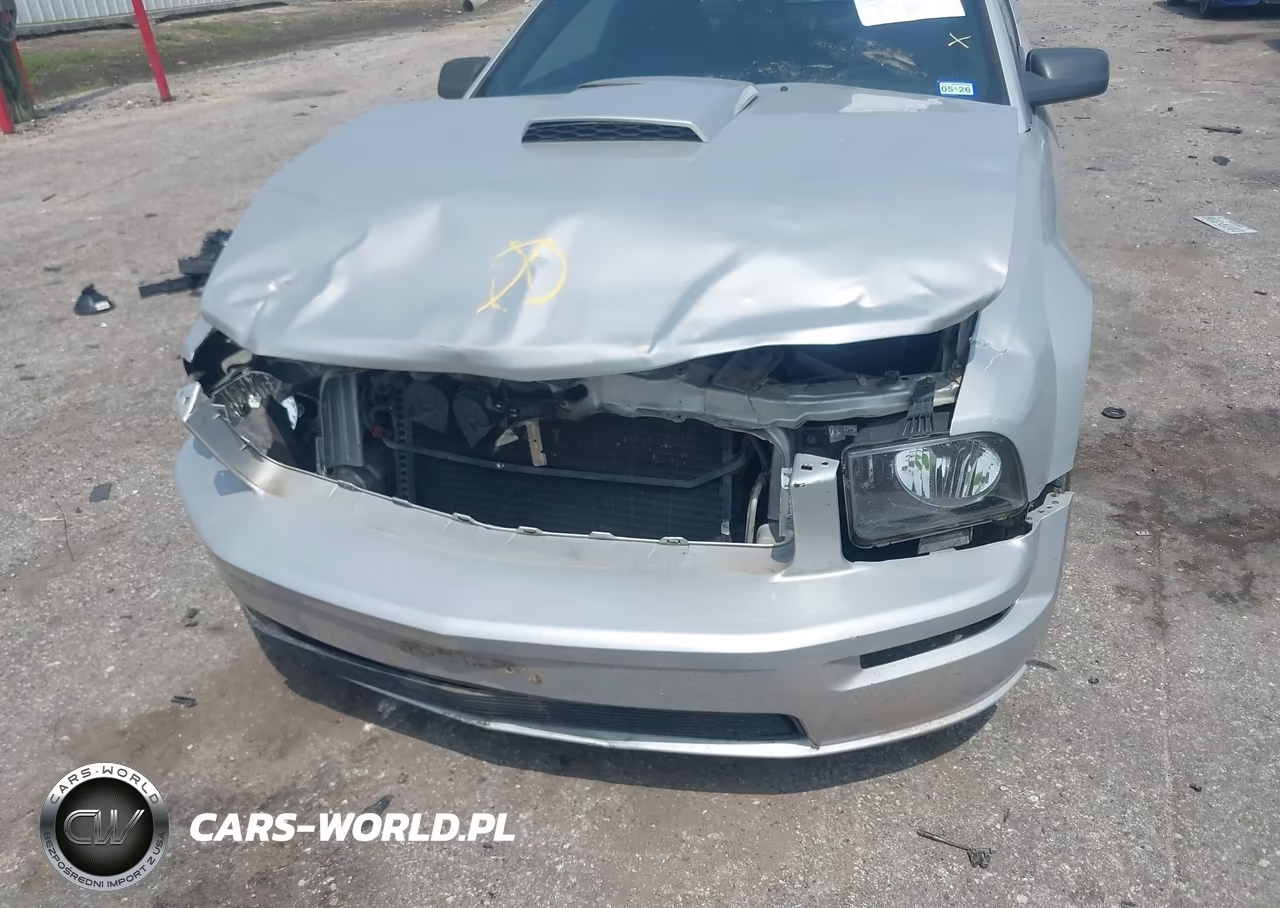 2009 Ford Mustang Gt-Gt Premium VIN:1ZVHT82H195102349 - 6