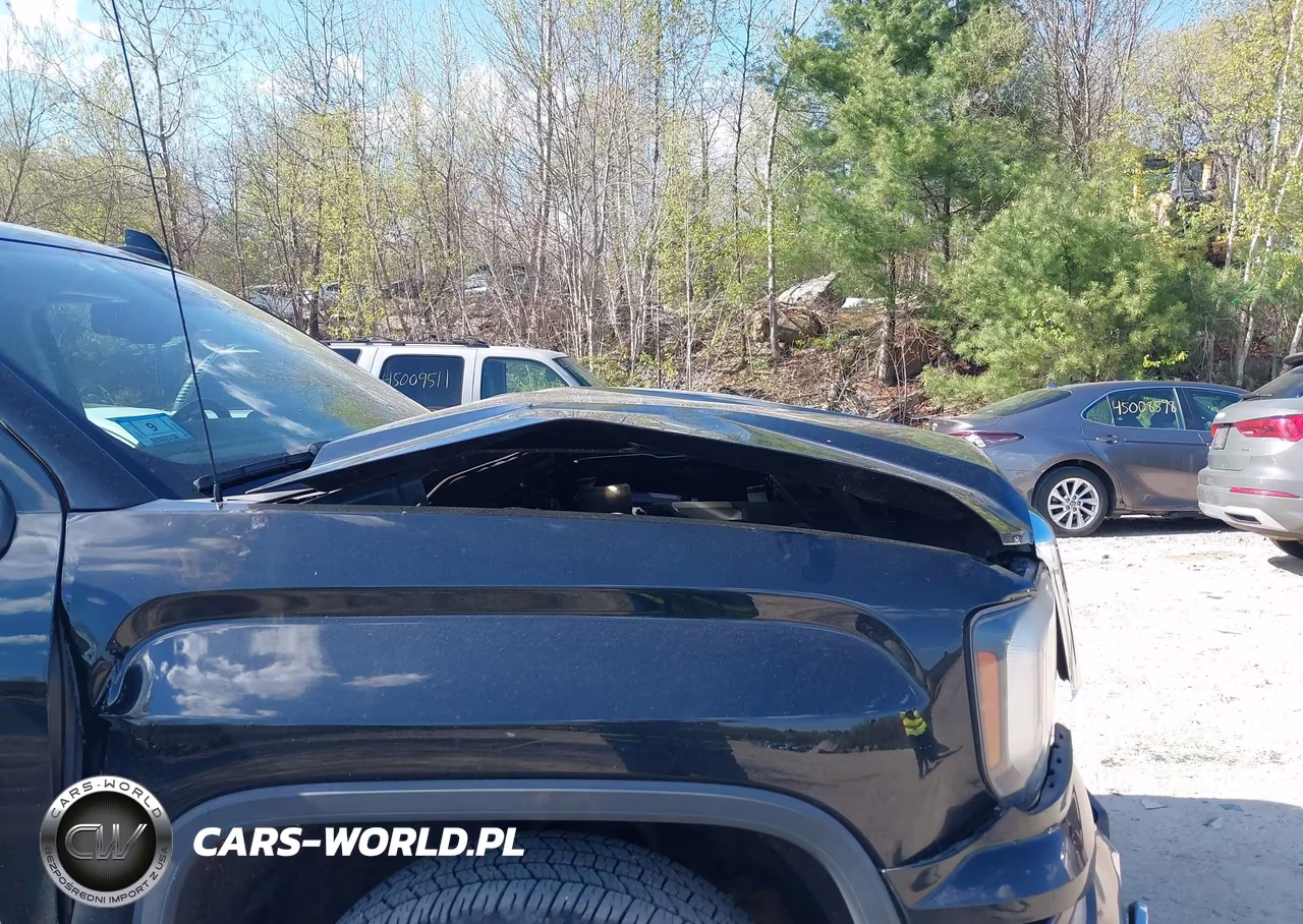2016 GMC Sierra 1500 Denali VIN:3GTU2PEJ6GG107002 - 18