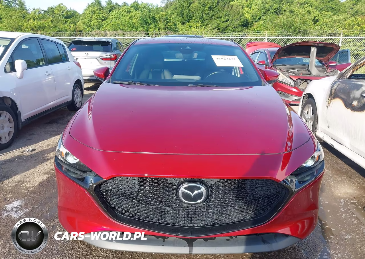 2019 Mazda Mazda3 Preferred Package VIN:JM1BPAMM6K1137058 - 12
