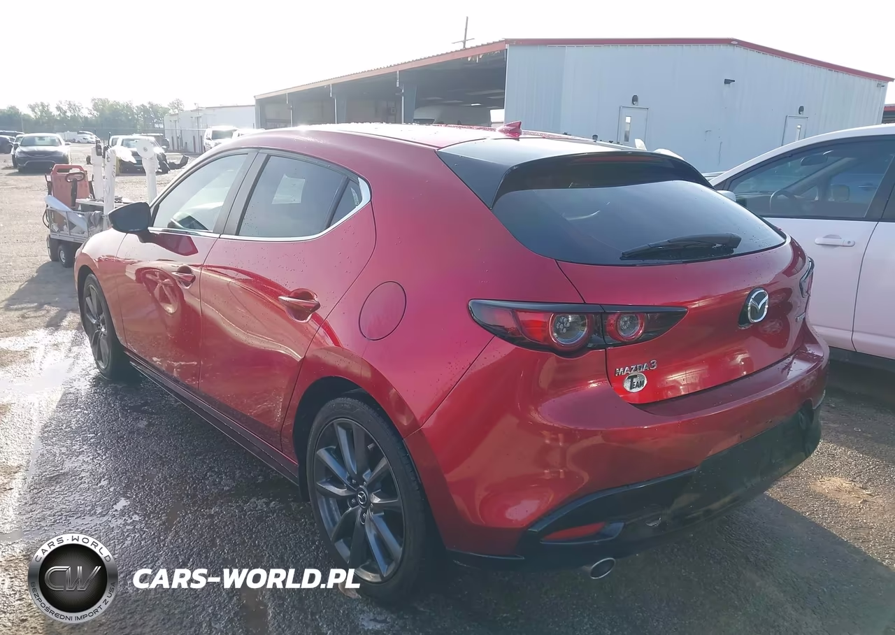 2019 Mazda Mazda3 Preferred Package VIN:JM1BPAMM6K1137058 - 3