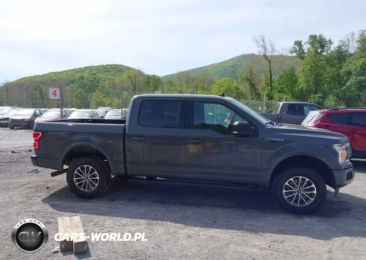 2020 Ford F-150 Xlt VIN:1FTEW1EP3LFB64831 - 13