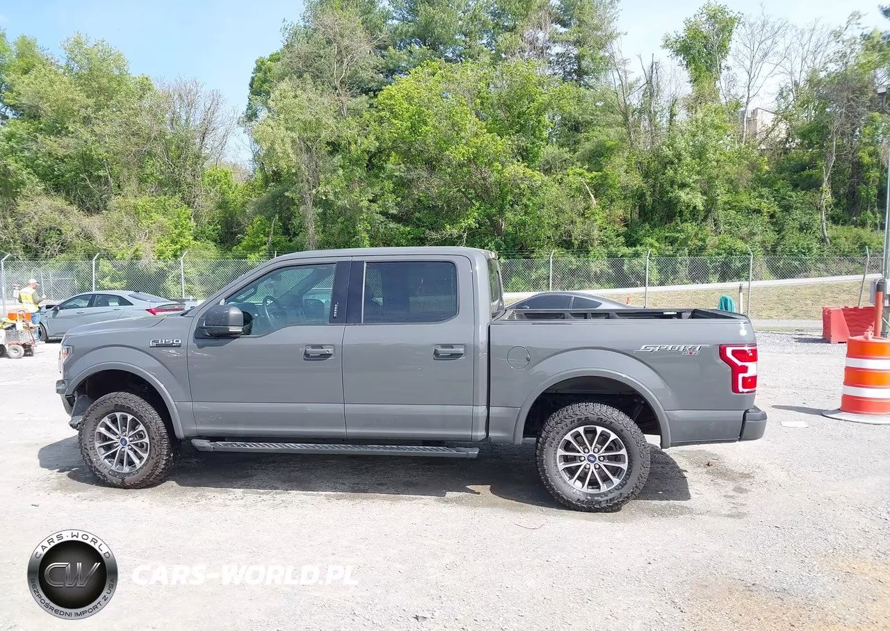 2020 Ford F-150 Xlt VIN:1FTEW1EP3LFB64831 - 14