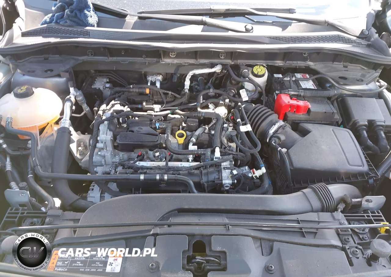 2021 Ford Escape VIN:1FMCU0G62MUA00877 - 10