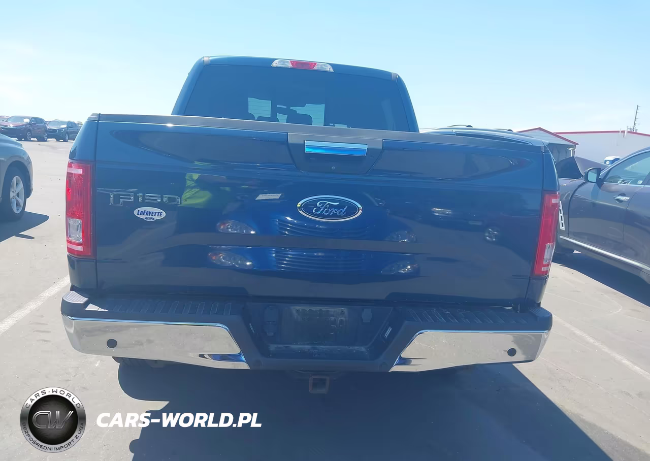 2017 Ford F-150 Xlt VIN:1FTEW1CF3HFB98351 - 16