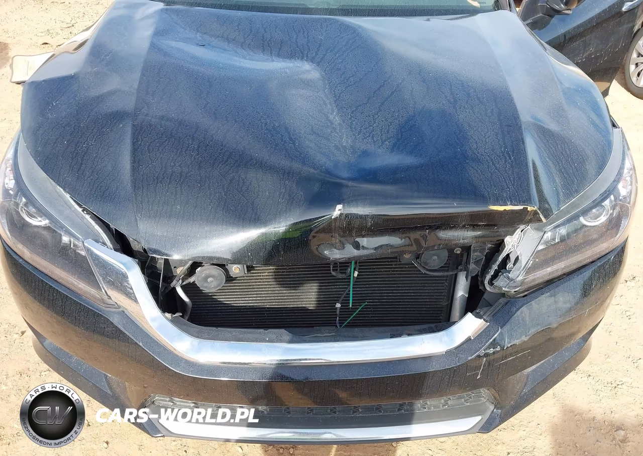 2013 Honda Accord Sport VIN:1HGCR2E55DA178491 - 6