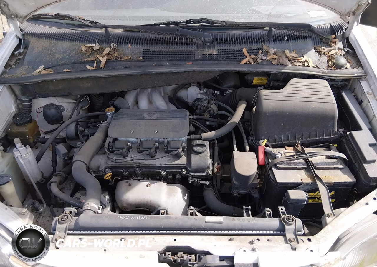 1998 Toyota Sienna Ce VIN:4T3GF19C2WU055179 - 10