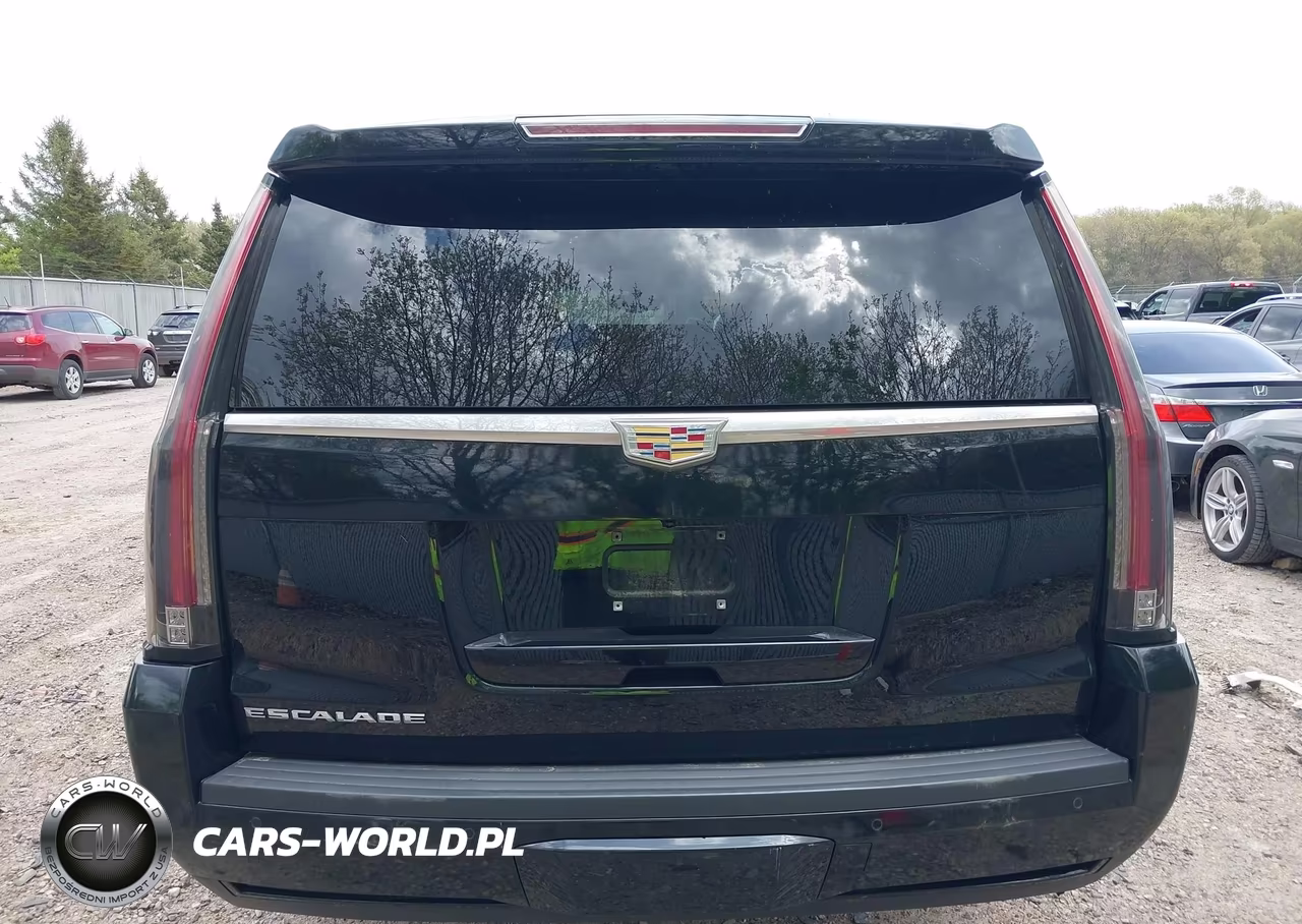 2015 Cadillac Escalade Esv Luxury VIN:1GYS4SKJ3FR574539 - 16