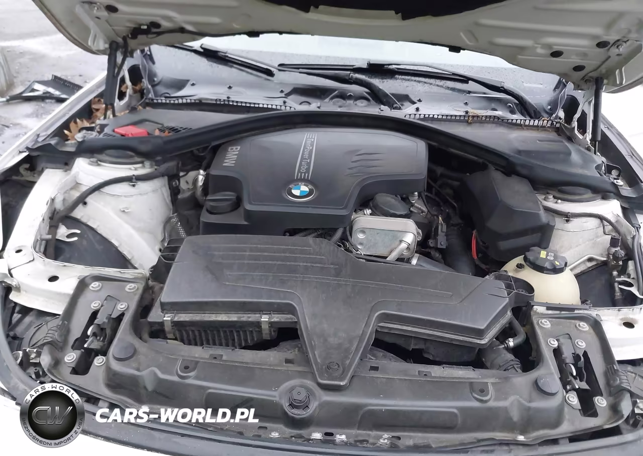 2015 BMW 320I VIN:WBA3B1C56FP831603 - 10