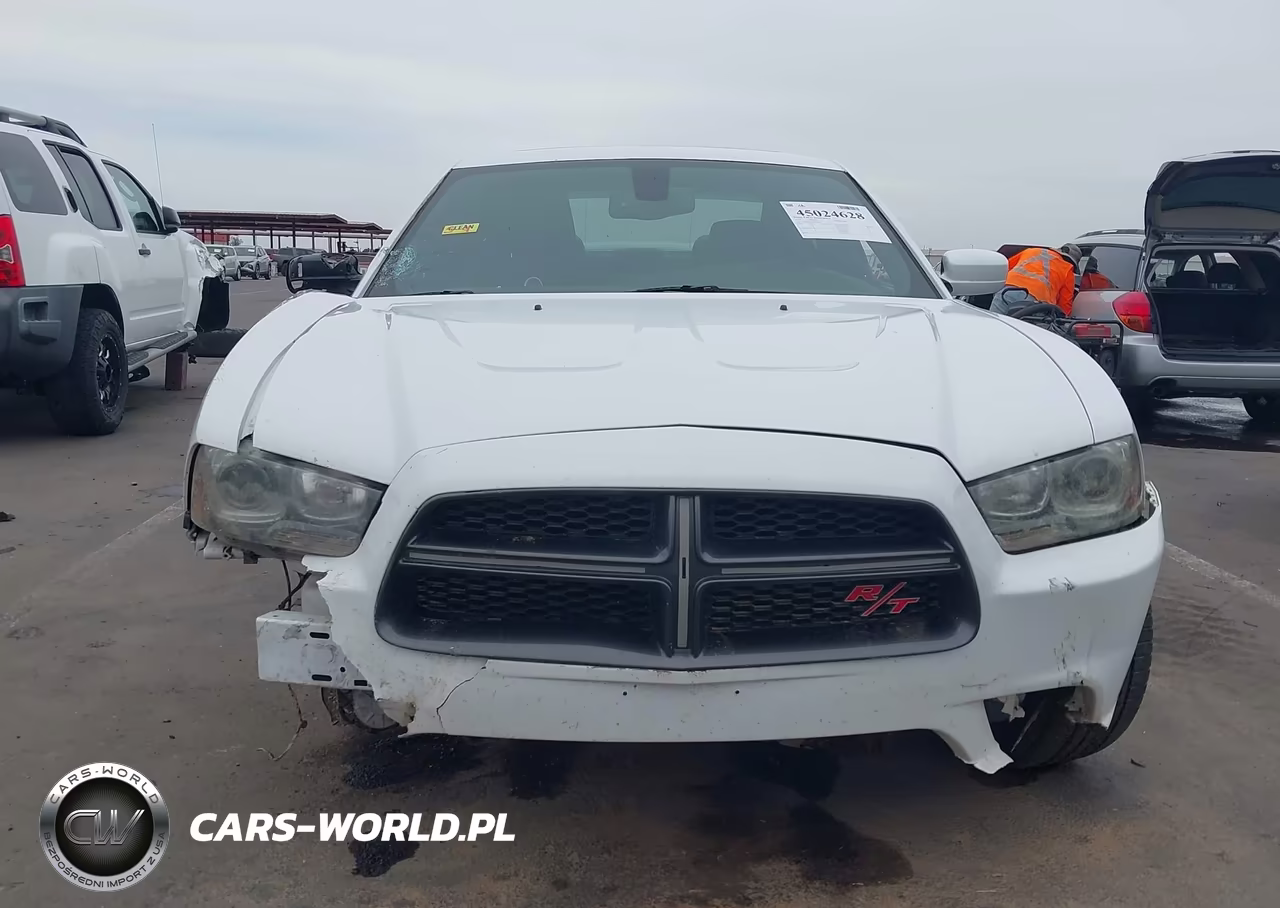 2014 Dodge Charger R-T 100Th Anniversary VIN:2C3CDXCTXEH280677 - 12