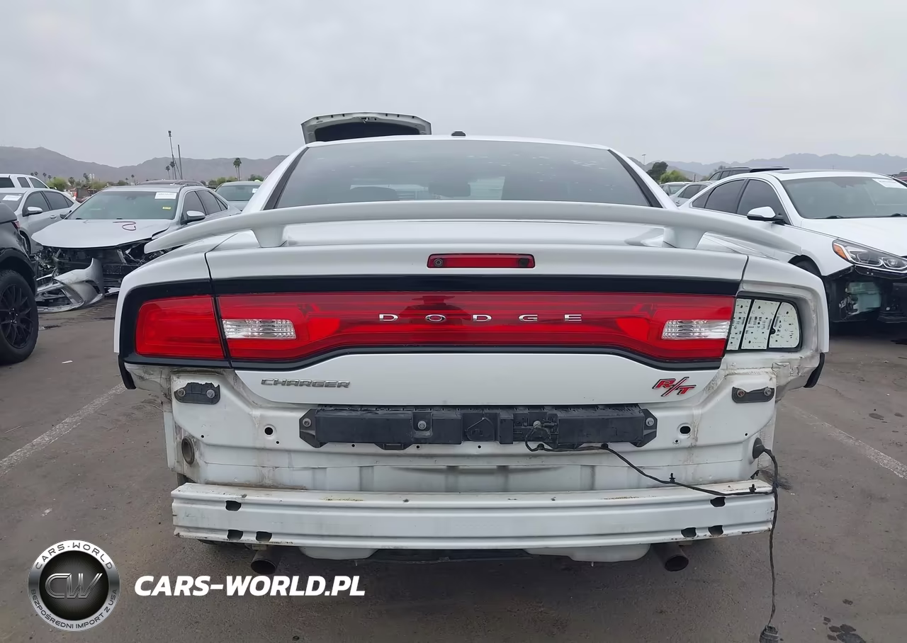 2014 Dodge Charger R-T 100Th Anniversary VIN:2C3CDXCTXEH280677 - 16