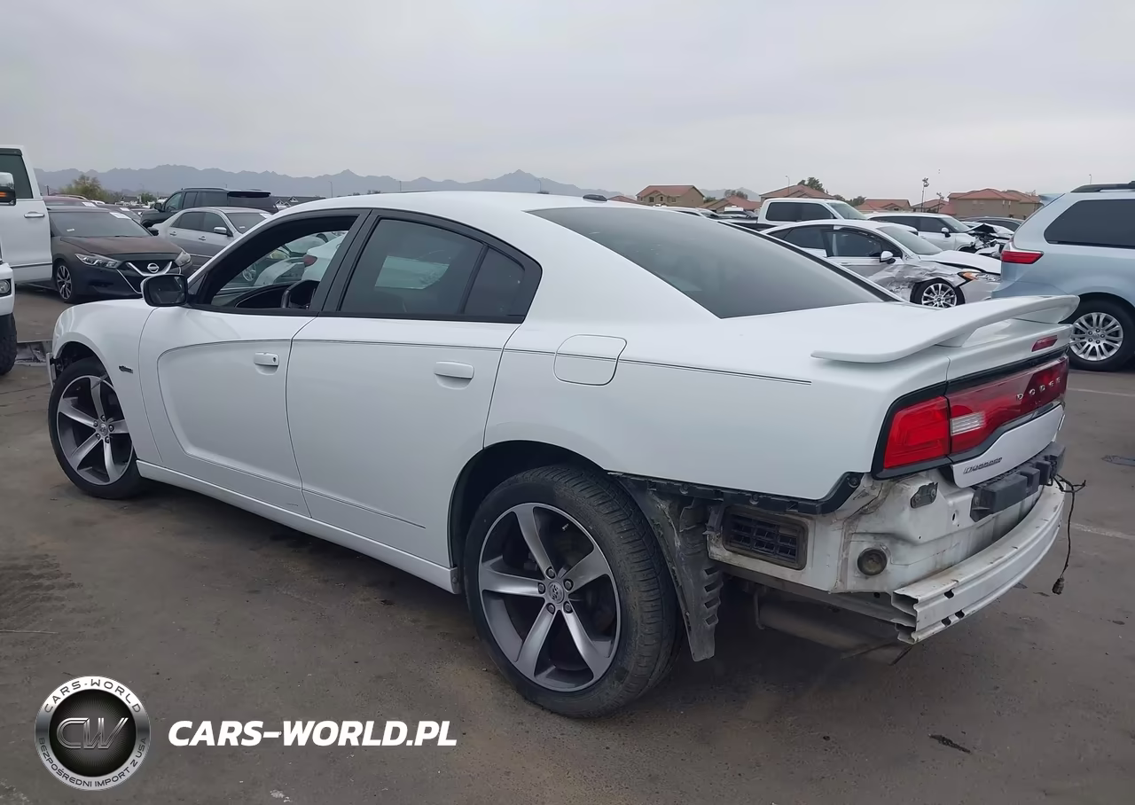 2014 Dodge Charger R-T 100Th Anniversary VIN:2C3CDXCTXEH280677 - 3