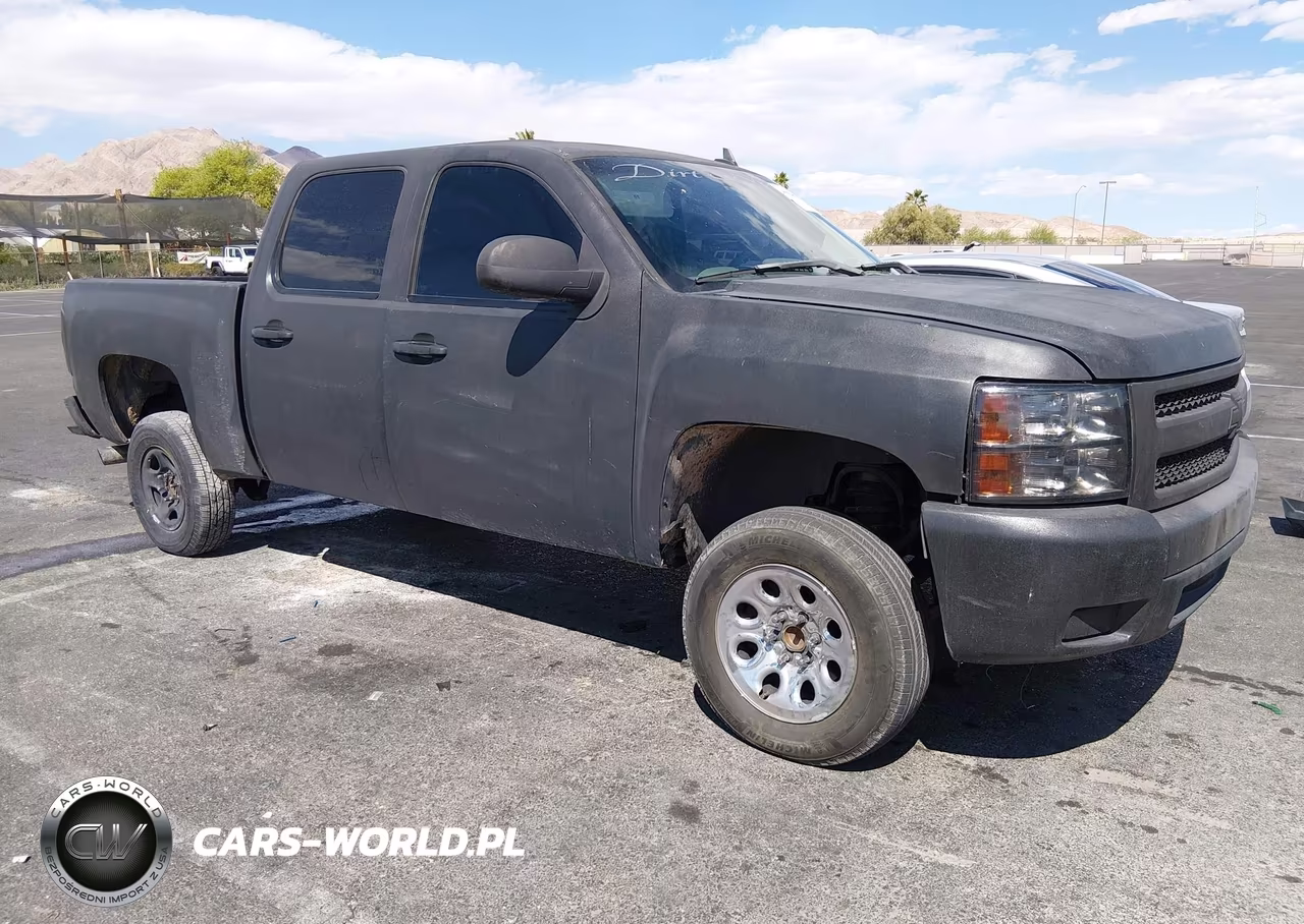 2007 Chevrolet Silverado 1500 Work Truck