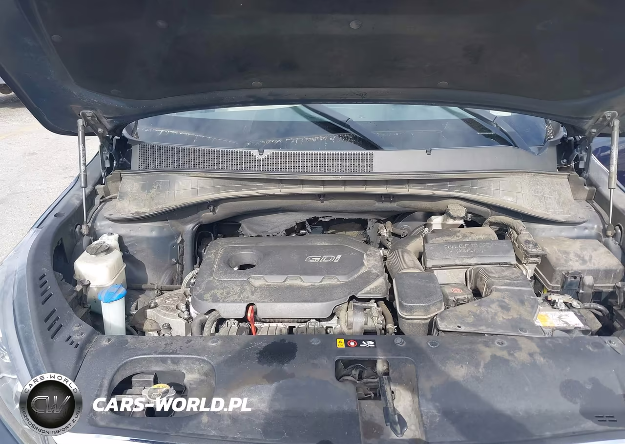 2019 Kia Sorento 2.4L Lx VIN:5XYPG4A34KG541818 - 10