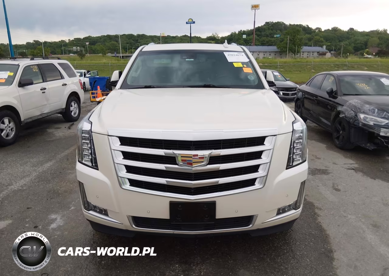 2015 Cadillac Escalade Premium VIN:1GYS4NKJ5FR515686 - 13