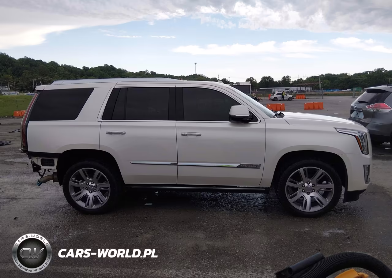 2015 Cadillac Escalade Premium VIN:1GYS4NKJ5FR515686 - 14