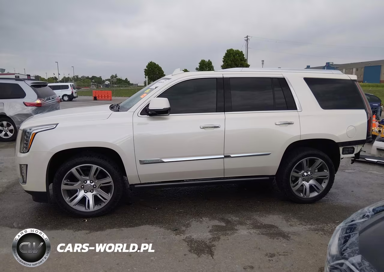 2015 Cadillac Escalade Premium VIN:1GYS4NKJ5FR515686 - 15