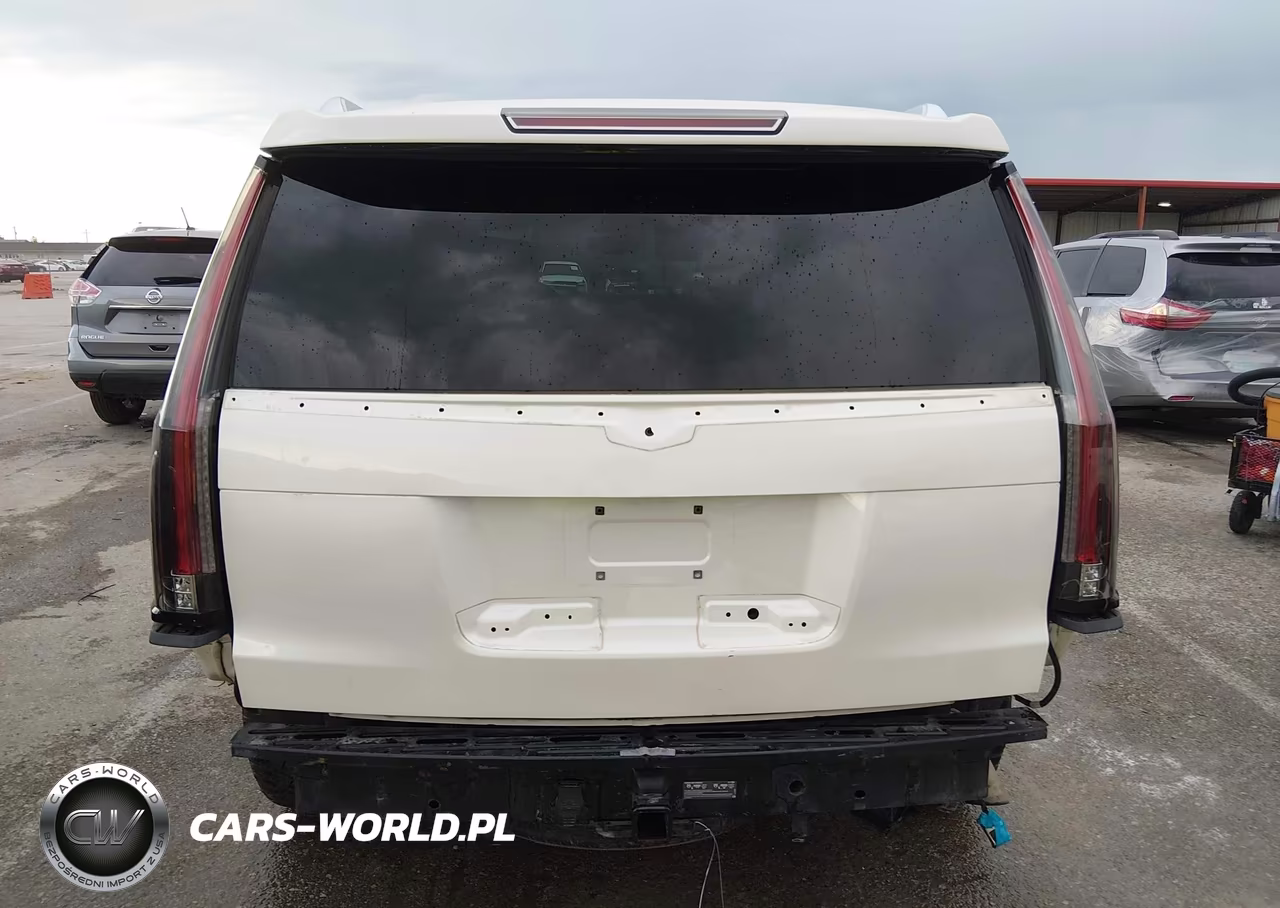 2015 Cadillac Escalade Premium VIN:1GYS4NKJ5FR515686 - 17