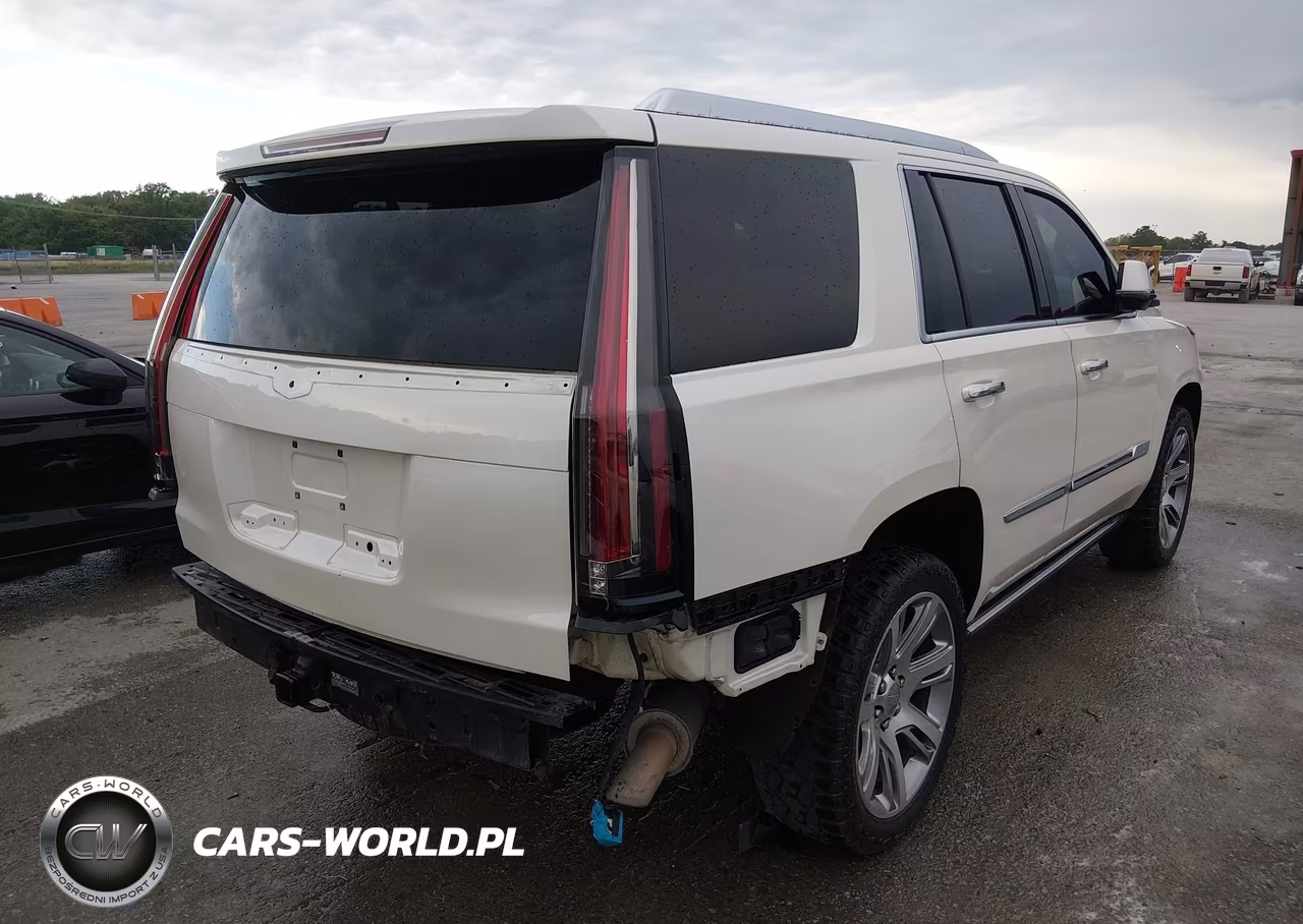 2015 Cadillac Escalade Premium VIN:1GYS4NKJ5FR515686 - 20