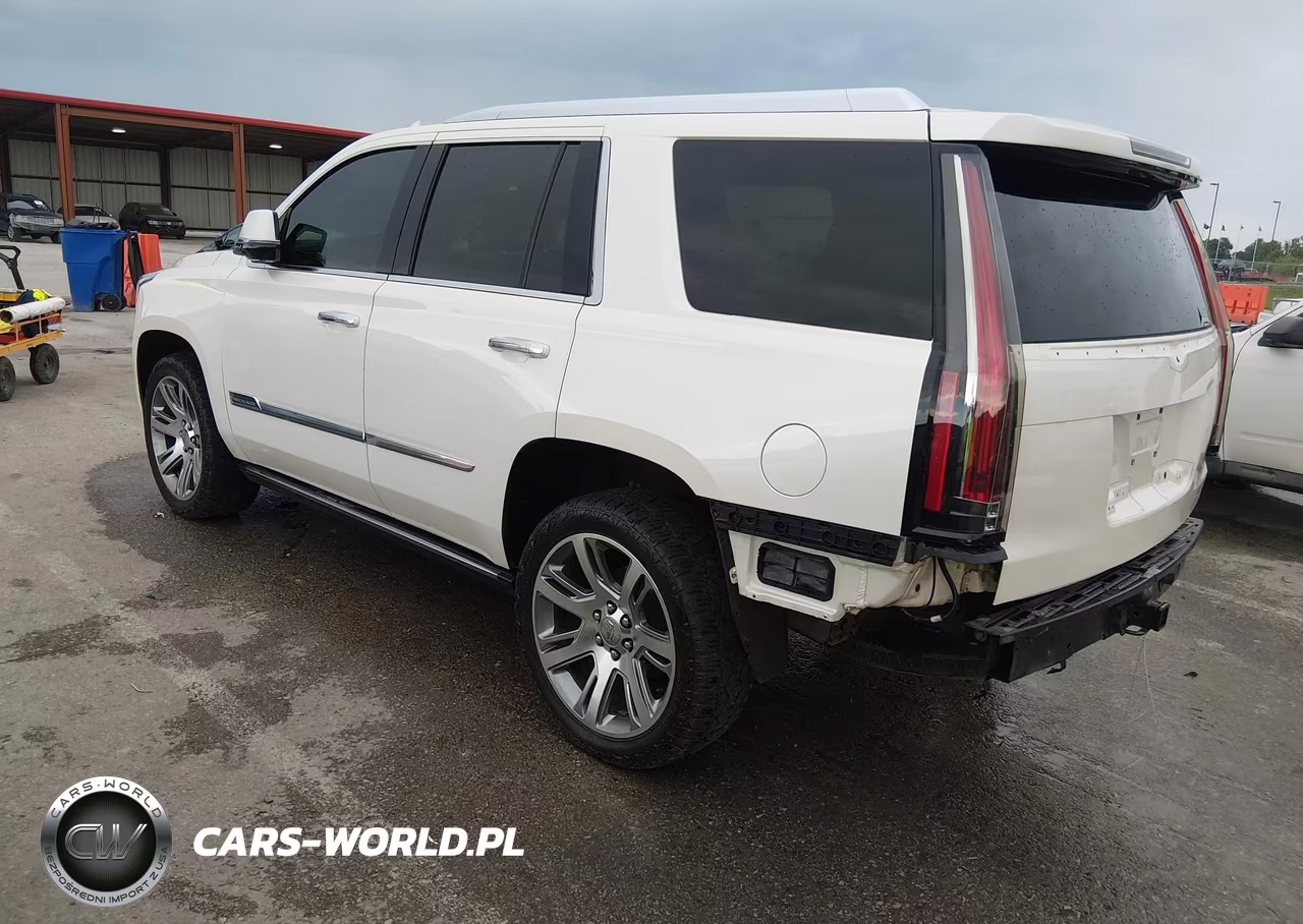2015 Cadillac Escalade Premium VIN:1GYS4NKJ5FR515686 - 3