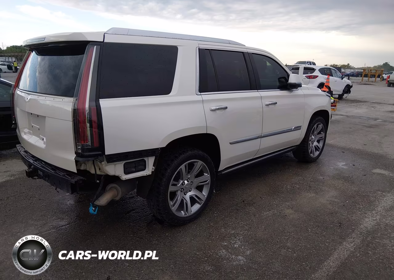 2015 Cadillac Escalade Premium VIN:1GYS4NKJ5FR515686 - 4