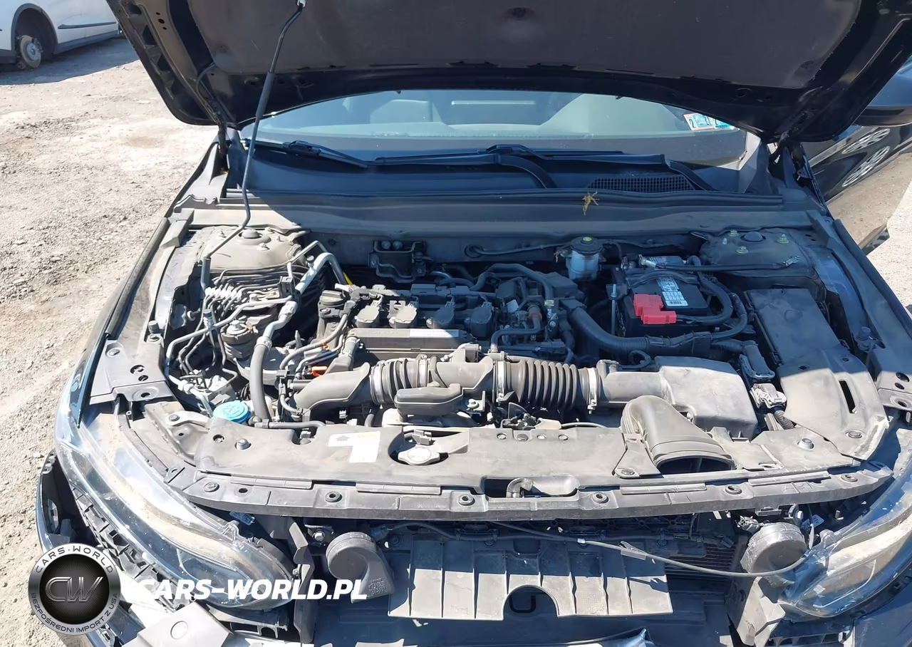 2019 Honda Accord Lx VIN:1HGCV1F10KA072612 - 10