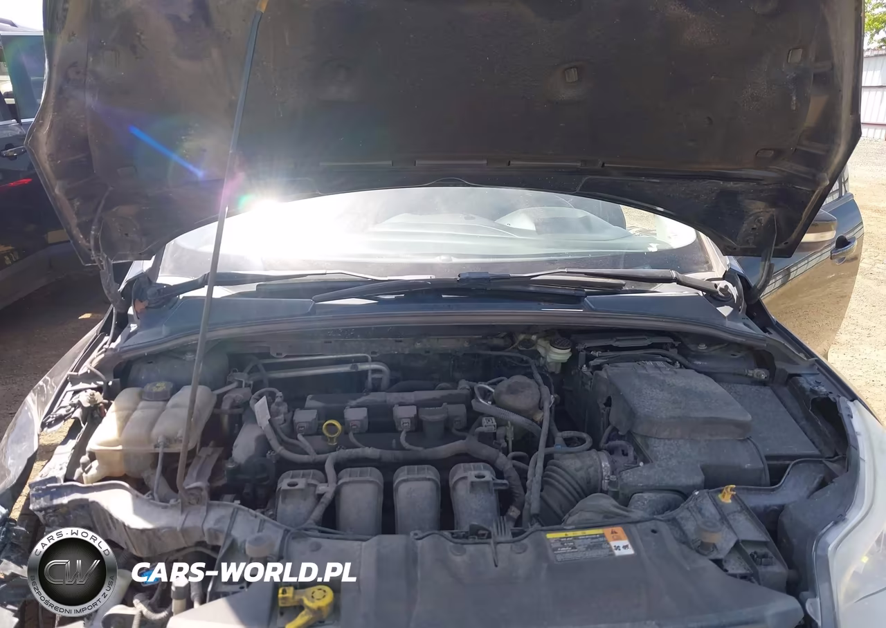 2014 Ford Focus Se VIN:1FADP3F2XEL132640 - 10