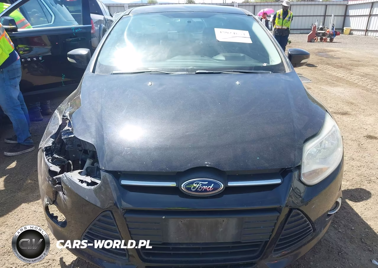 2014 Ford Focus Se VIN:1FADP3F2XEL132640 - 12