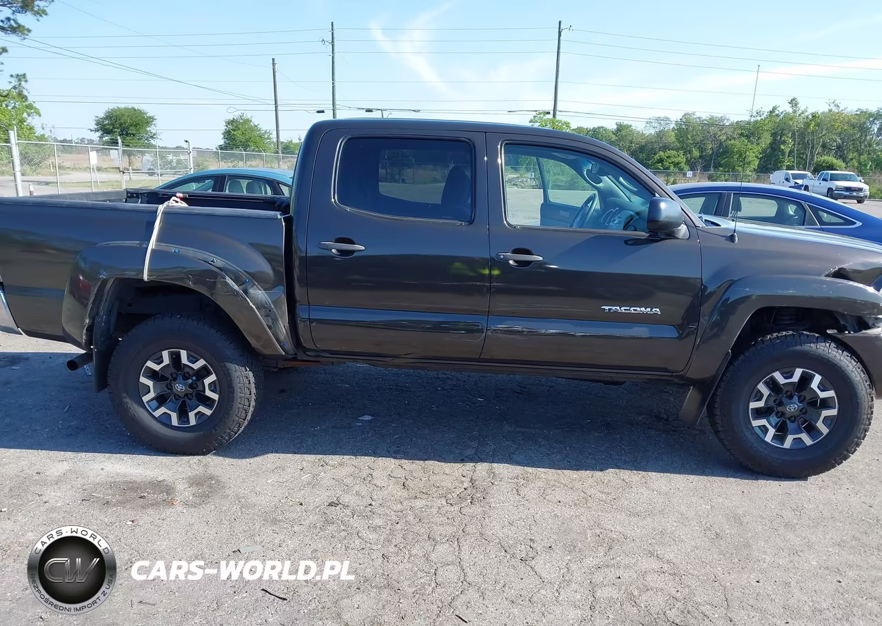2009 Toyota Tacoma Base V6 VIN:3TMLU42N29M036784 - 6