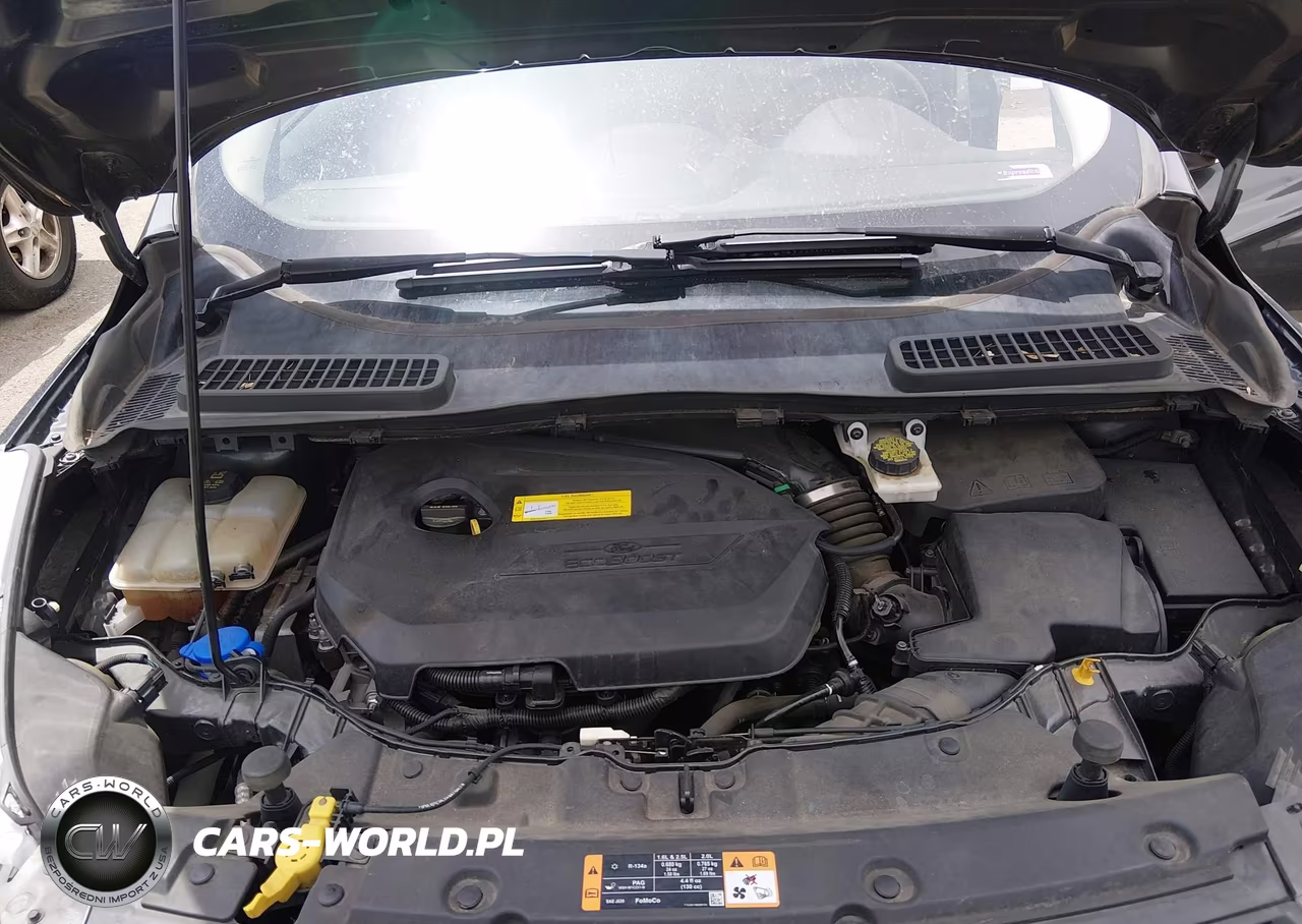 2016 Ford Escape Se VIN:1FMCU9GX9GUB47618 - 10