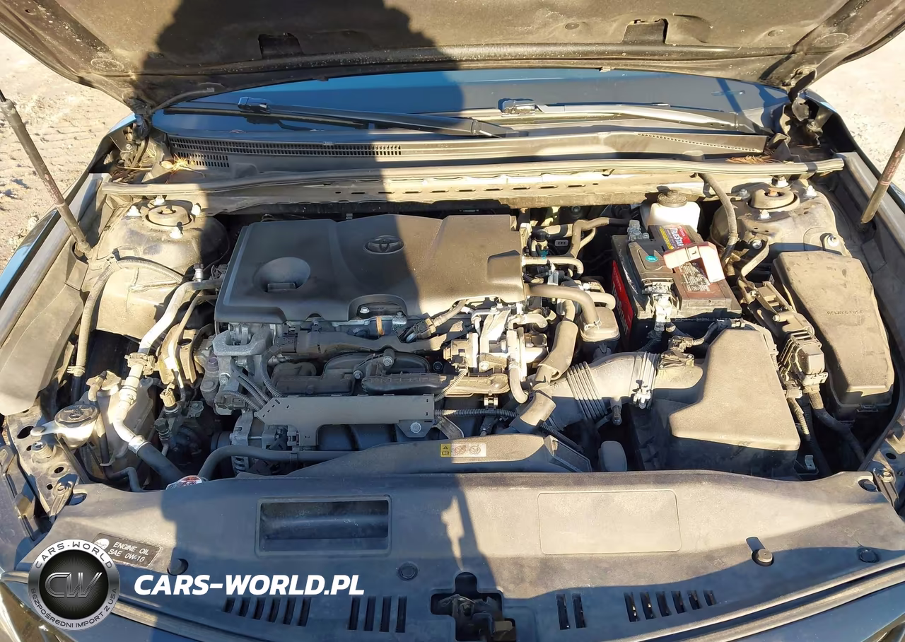 2019 Toyota Camry Xse VIN:4T1B61HK7KU794456 - 10