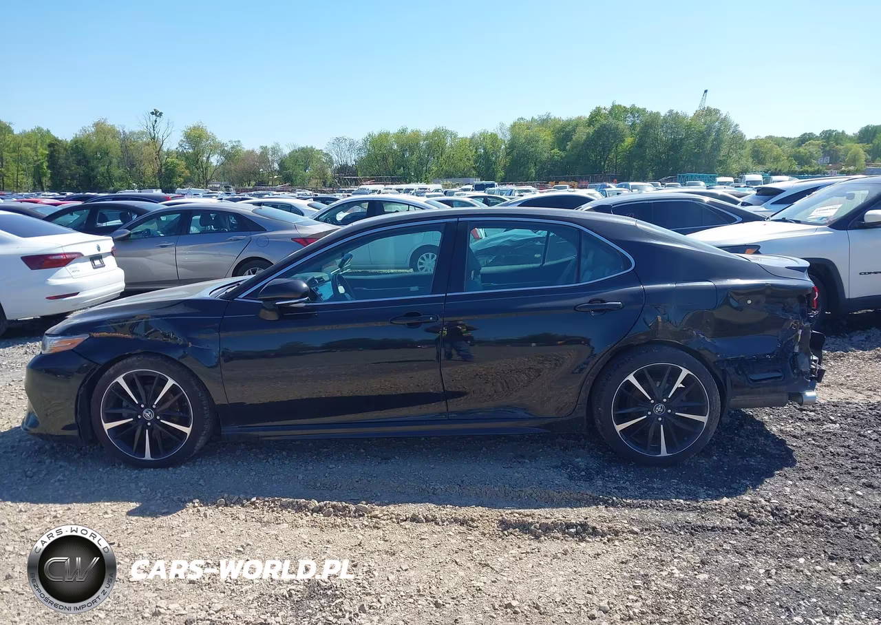 2019 Toyota Camry Xse VIN:4T1B61HK7KU794456 - 15